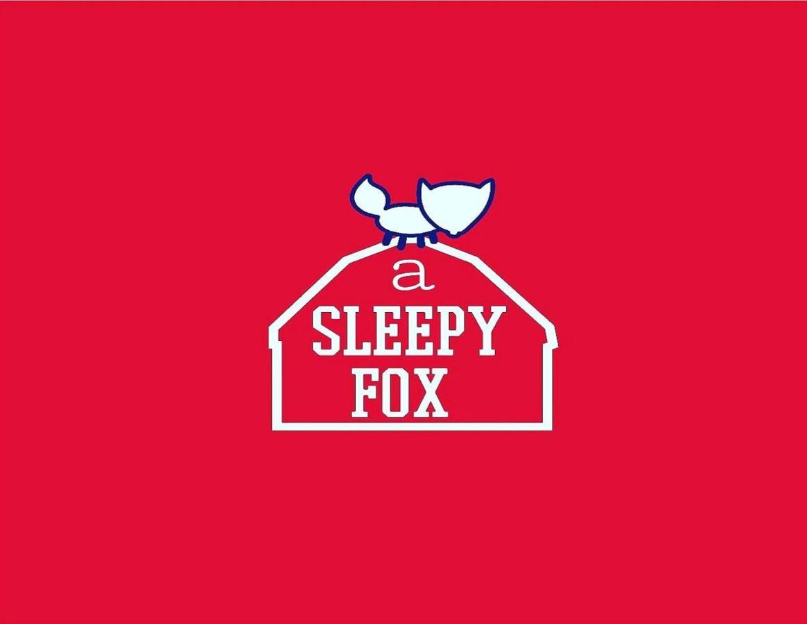 Albergue A Sleepy Fox Nueva Delhi Exterior foto